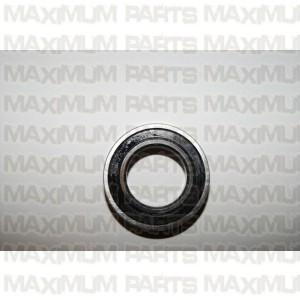 TrailMaster 300 Bearing 6007