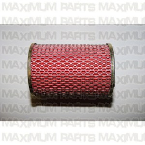 ACE Maxxam 150 Air Filter 513-3021
