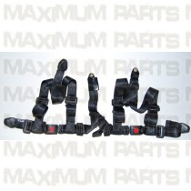 ACE Maxxam 150 Seat Belt / Safety Belt 637-0014