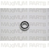 ACE Maxxam 150 Radial Ball Bearing E6202