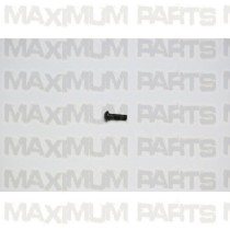 ACE Maxxam 150 Pan Screw M5 x 16