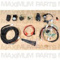 Basic Wiring Harness GY6 150 Full