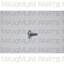 Hammerhead 150 Cam Chain Tensioner Pivot