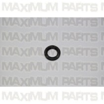 ACE Maxxam 150 Oil Seal 19.8 x 30 x 5