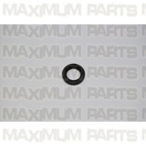 Hammerhead 150 Oil Seal 19.8 x 30 x 5