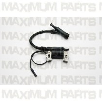 TrailMaster Mid XRX Ignition Coil Assy All