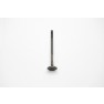 Carter Brothers GTR 250 Exhaust Valve Top