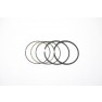 Carter Brothers GTR 250 Piston Ring Set