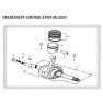Gio Bikes 250 GT Piston Set (Diagram #2,3,4,8)